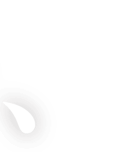 届
